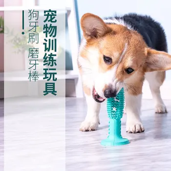 Sıcak Satış Pet Diş Fırçası Köpek Diş Fırçası Çevre Koruma Kauçuk Bite Dayanıklı İnteraktif Pet Enayi Oyuncaklar