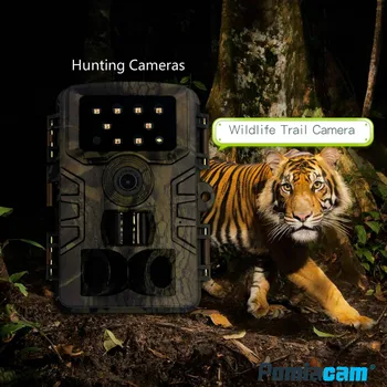 Yaban hayatı takip kamerası Kızılötesi gece avcılık görüş kamerası s 12MP Açık Vahşi Gözetim Izleme açık kamera avcılık için