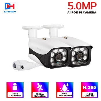 Yüz Tanıma H. 265 PoE ıp kamera 5MP HD Açık Su Geçirmez Kızılötesi 40m Gece Görüş Güvenlik Video Gözetim Kitleri