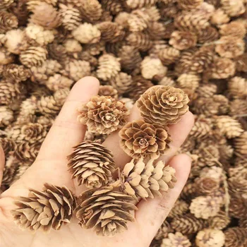 50 Adet / grup Noel Tatil Dekorasyon Doğal Çam Kozalakları Kurutulmuş Çiçekler Malzeme Malzemeleri DIY El Yapımı El Sanatları