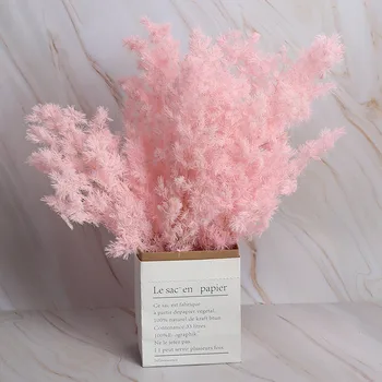 80g Kurutulmuş Çiçek Yüksek Kalite Penglai Şarkı 50 cm Doğal Plantas Düğün Süslemeleri DIY Buket Ev Aksesuarları Fotoğraf Sahne