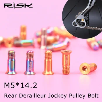 RISK 2 ADET M5*14.2 mm Titanyum Ti Alaşımlı Cıvata Bisiklet Arka Attırıcı kılavuz teker MTB Bisiklet kılavuz rulo Vidalar M5x14. 2mm