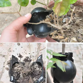 Yeniden kullanılabilir Bitki Kök Büyüyen Kutu Kesme Aşılama Köklendirme Kutusu Bahçe Köklenme Yayılım Topu S Yetiştirme Ekipmanları