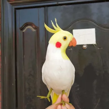 sevimli simülasyon beyaz papağan modeli köpük ve kürkler papağan kuş bebek hediye yaklaşık 32 cm 3005