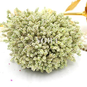 Ücretsiz kargo sıcak satış ışık olivin 5mm 800 adet Köpük Çiçek Ercik yapay çiçek Ercik Pistil kek dekorasyon zanaat DIY